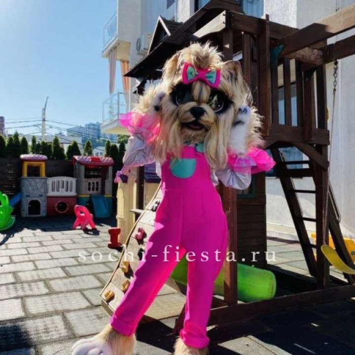 Аниматор Гламурная Собака в Самаре