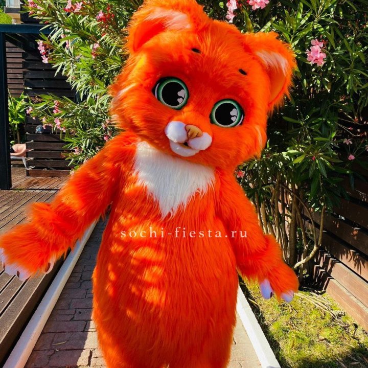 Аниматор Котик в Самаре