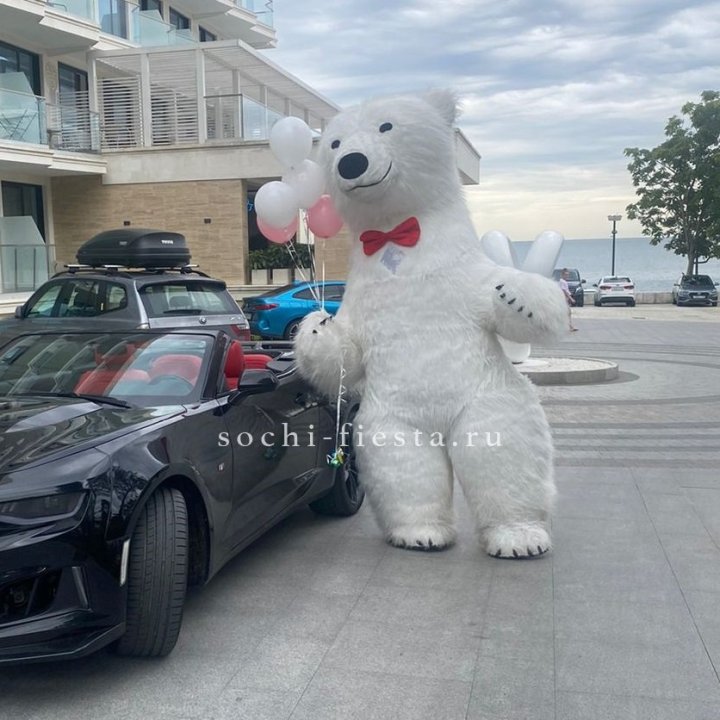 Аниматор Белый Медведь в Самаре