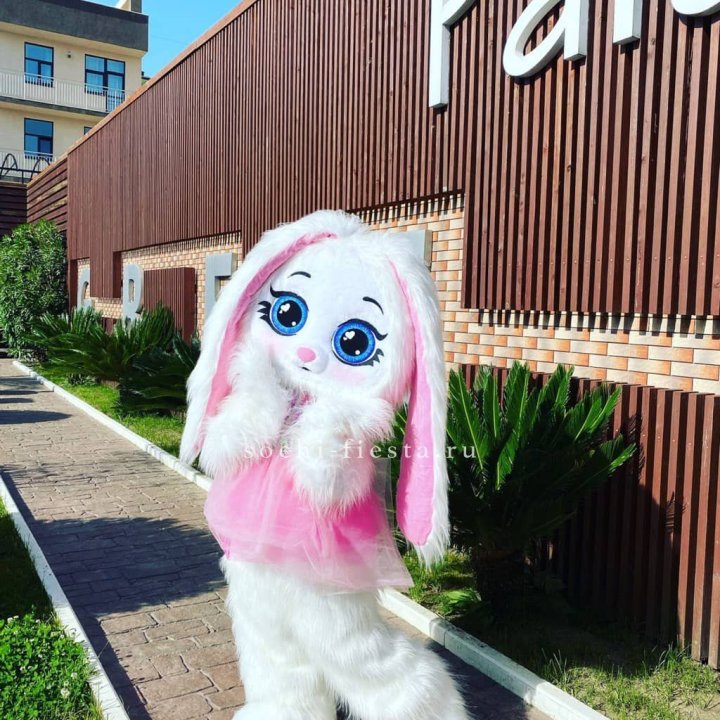 Аниматор Зайка в Самаре