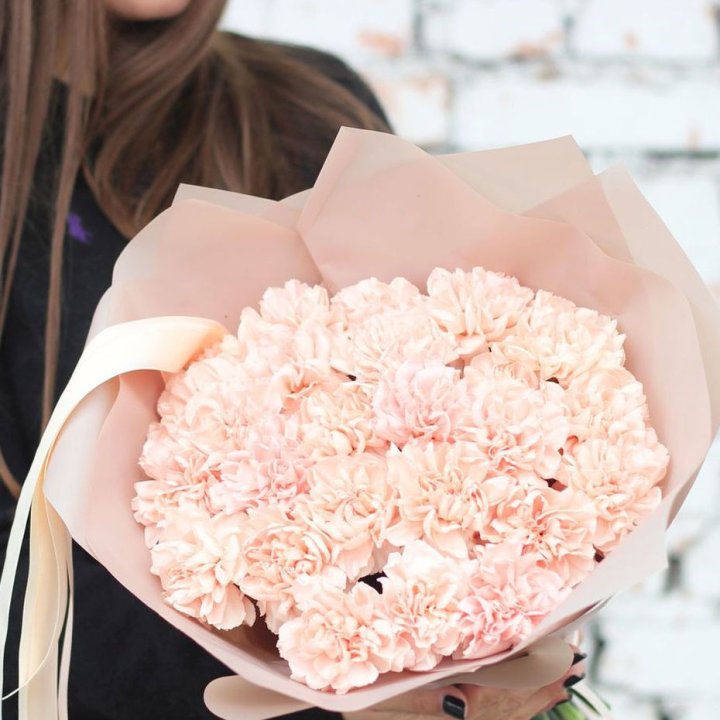 Диантусы №2 в Самаре