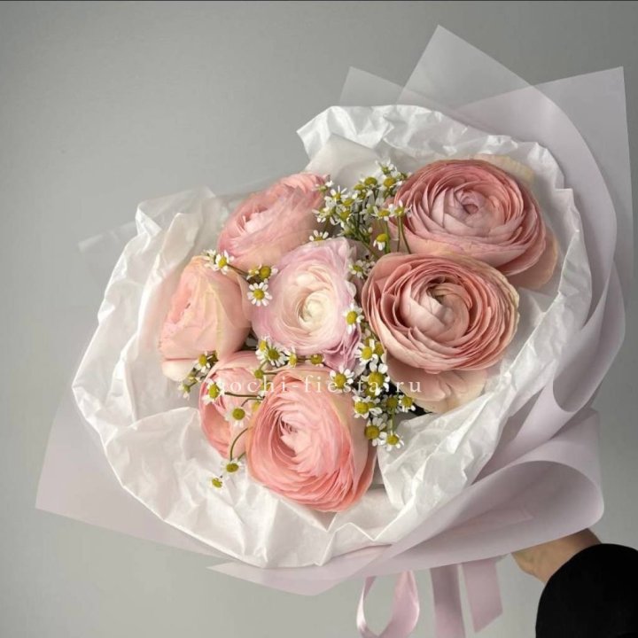 Ранункулюсы с ромашками в Самаре