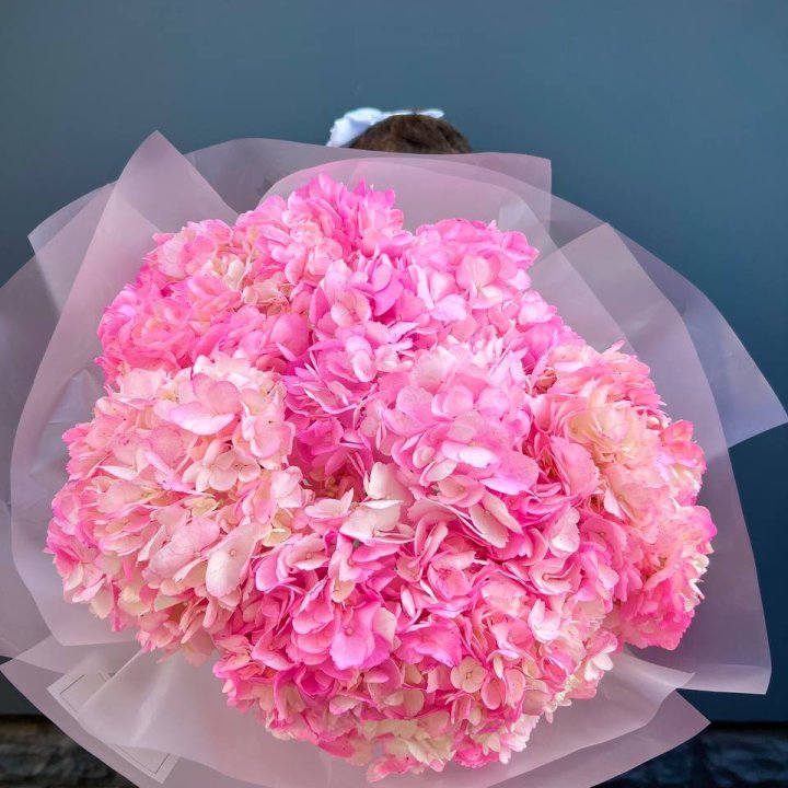 9 ярко розовых гортензий в Самаре