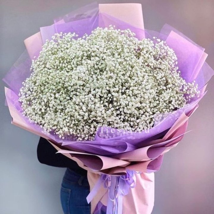 Облако белых гипсофил в Самаре