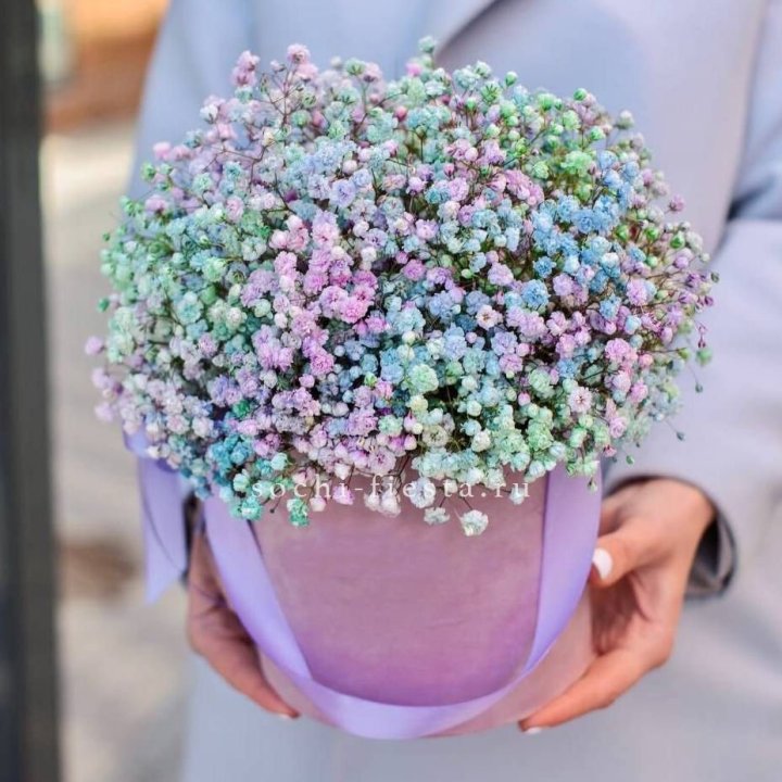 Гипсофилы в шляпной коробке "Кандилайт" в Самаре