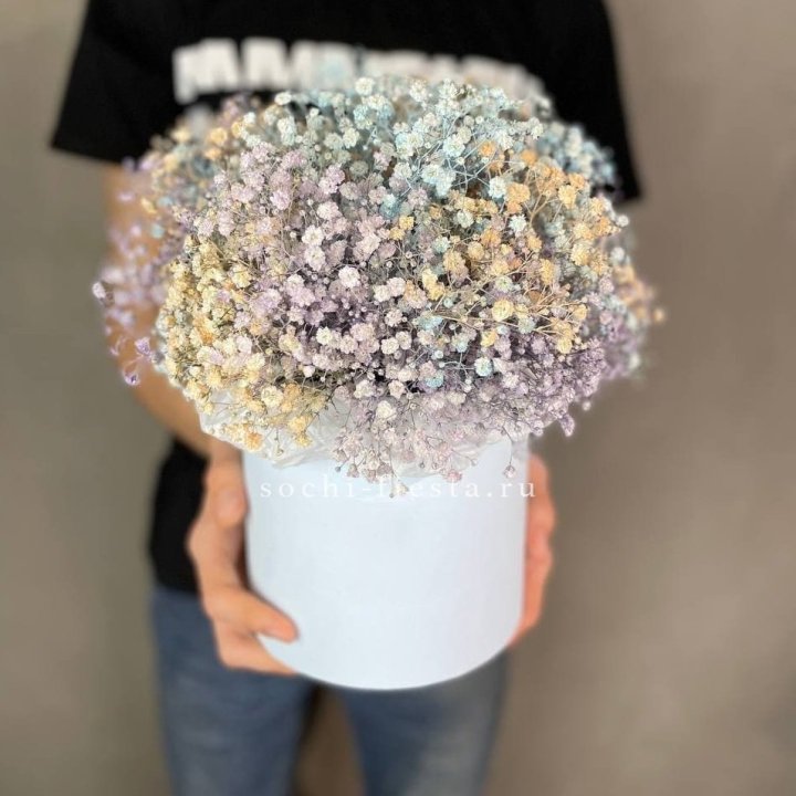 9 Радужных гипсофил в шляпной коробке в Самаре