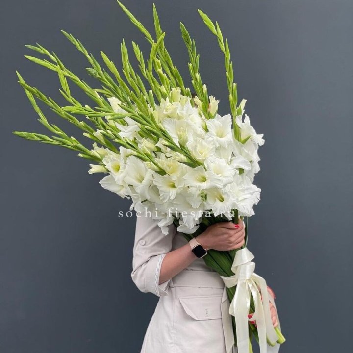 19 белых гладиолусов под ленту в Самаре