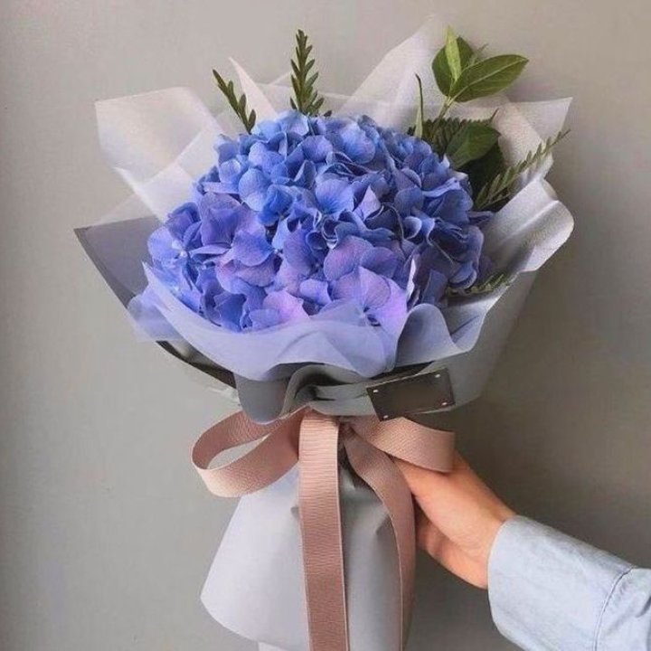 Гортензия голубая в Самаре