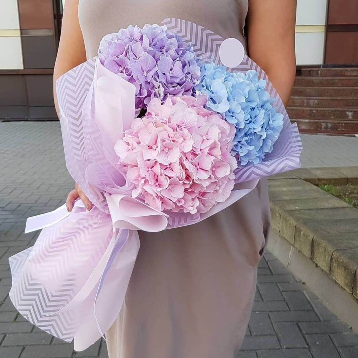 Букет гортензий "Пуф" в Самаре