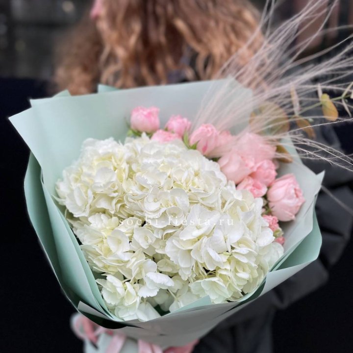 Гортензия "Жасмин" в Самаре