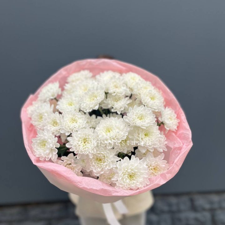  5 хризантем  в Самаре