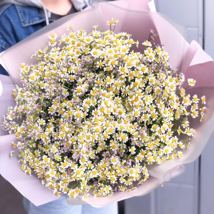 Букет ромашек №1 в Самаре