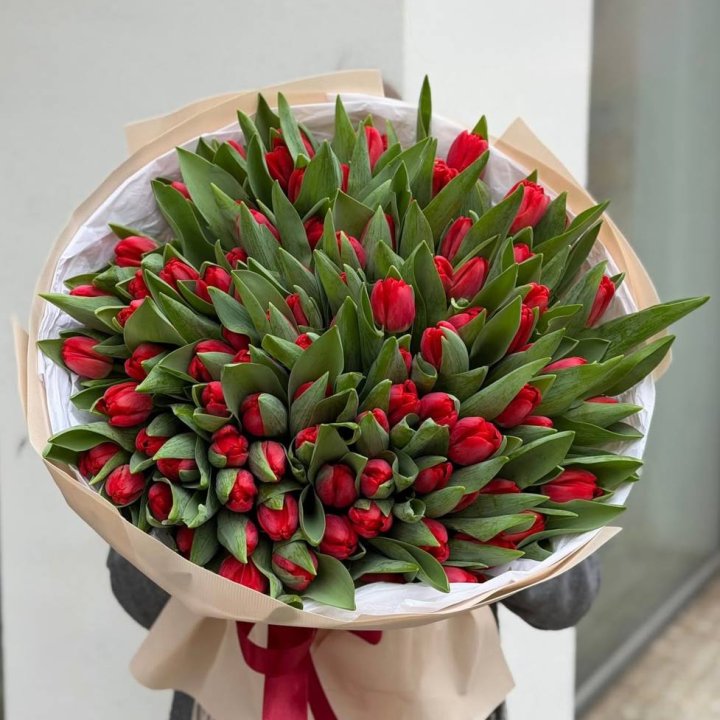 101 красный тюльпан в Самаре