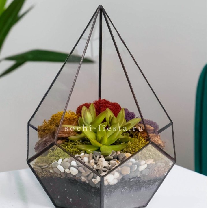Флорариум Капля с суккулентом в Самаре