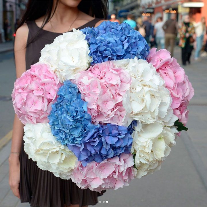 Букет гортензий "Инь-Янь" в Самаре