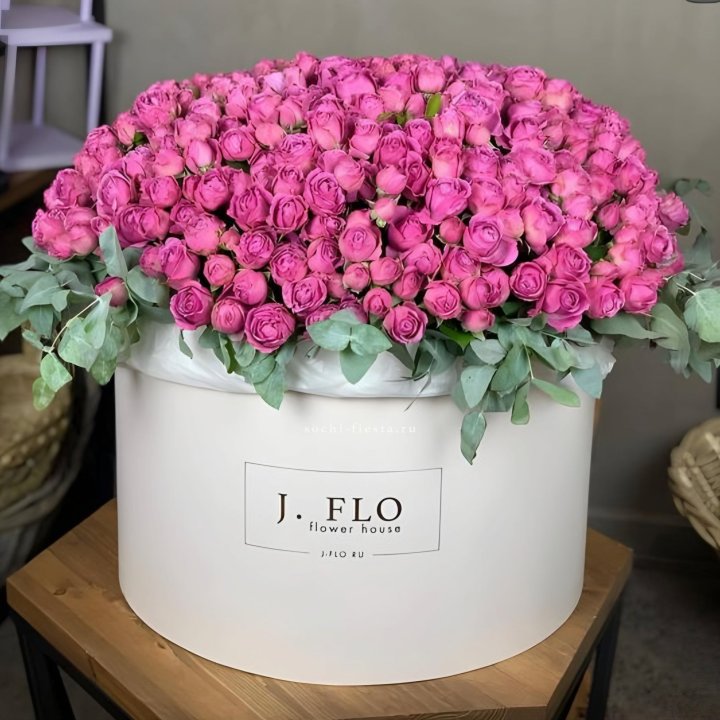 Цилиндр с Мисти Бабблс  в Самаре