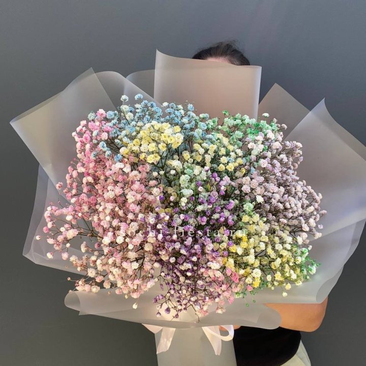 Радужные гипсофилы  в Самаре