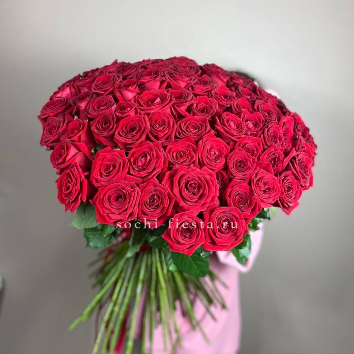 101  голландская роза  в Самаре