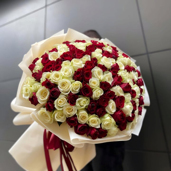 101 высокая импортная роза  в Самаре