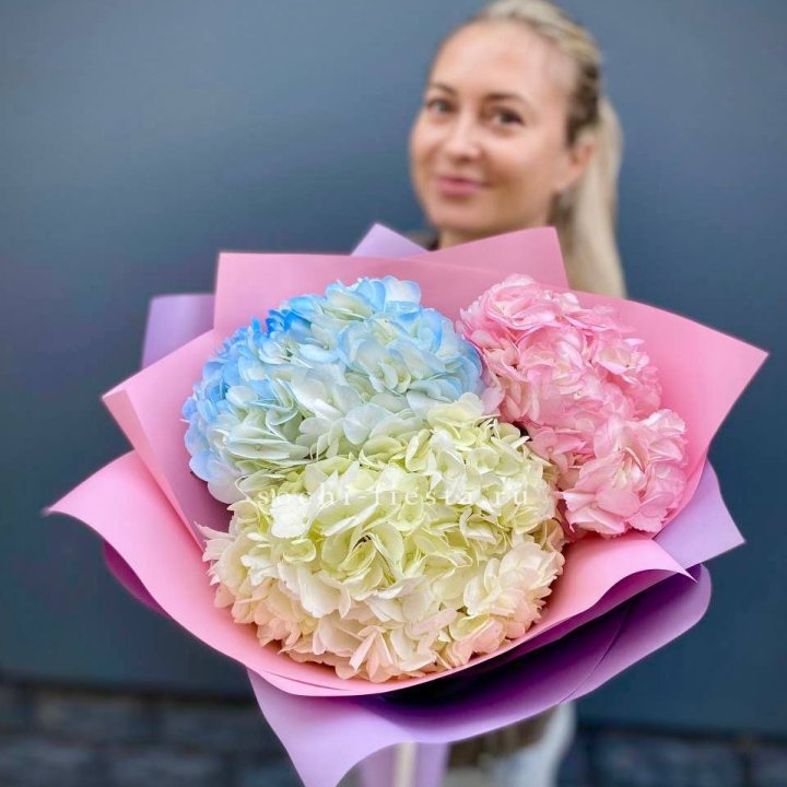 Букет гортензий "Тоника" в Самаре