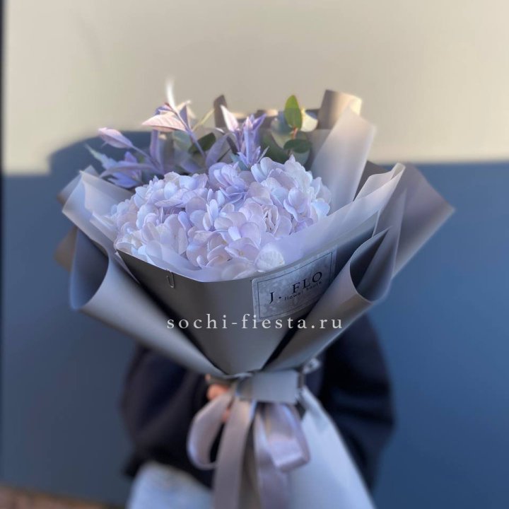 Гортензия "Виолета" в Самаре