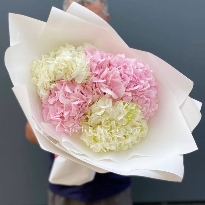 Букет гортензий №5 в Самаре
