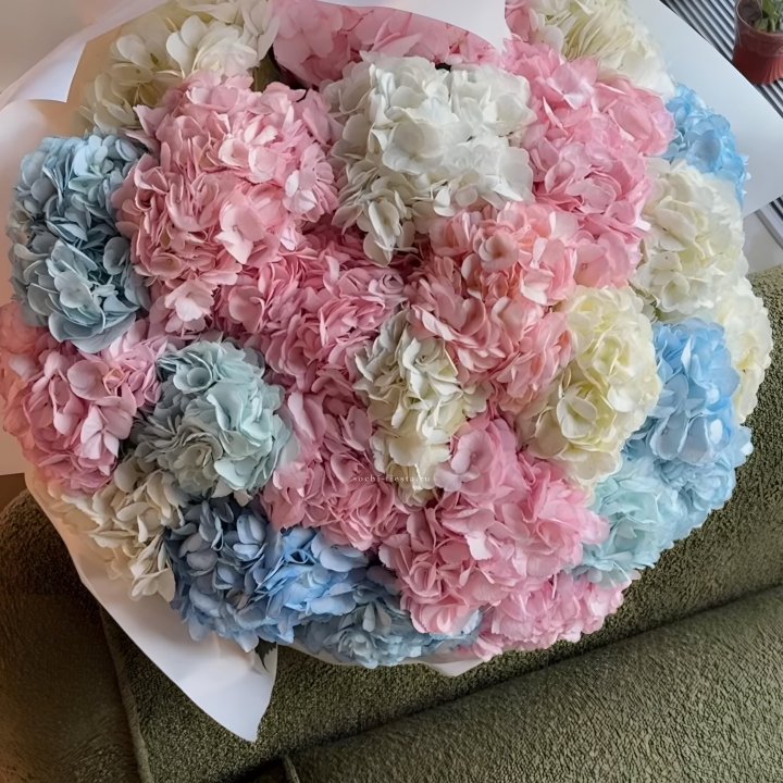 Букет гортензий микс в Самаре