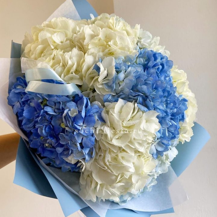 Букет гортензий "Голубая лаза" в Самаре