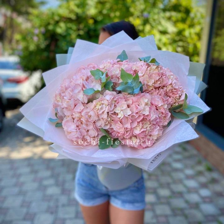 5 розовых гортензий  в Самаре
