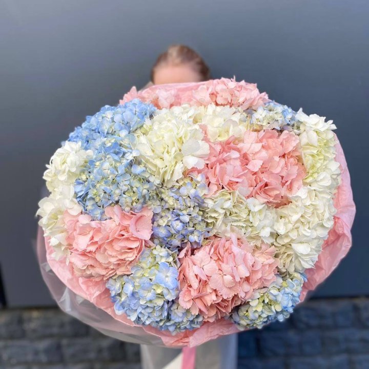 19 гортензий микс в Самаре