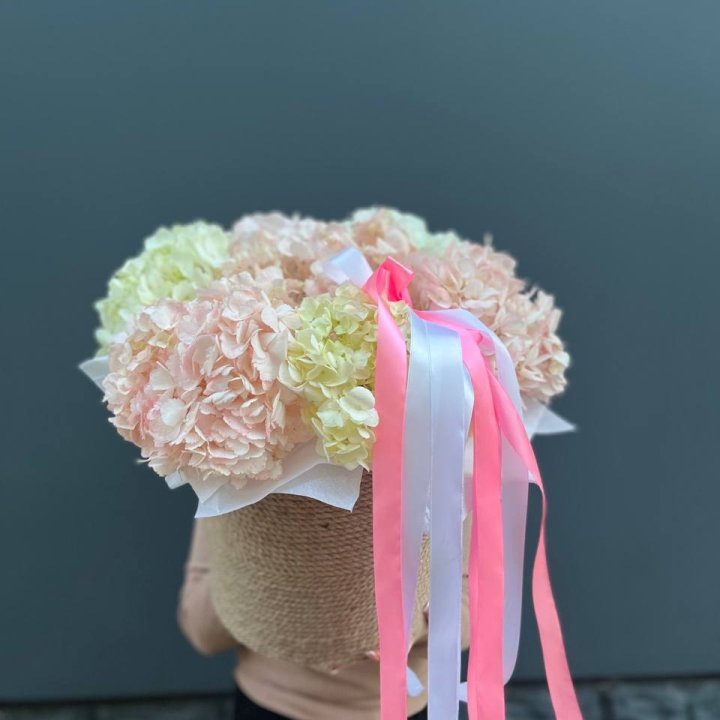 7 гортензий в кашпо в Самаре