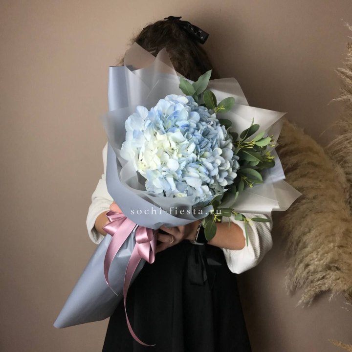 Гортензия Уно в Самаре