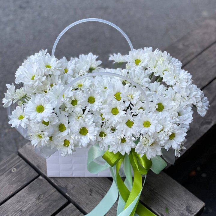 Сумка с хризантемами ромашками в Самаре