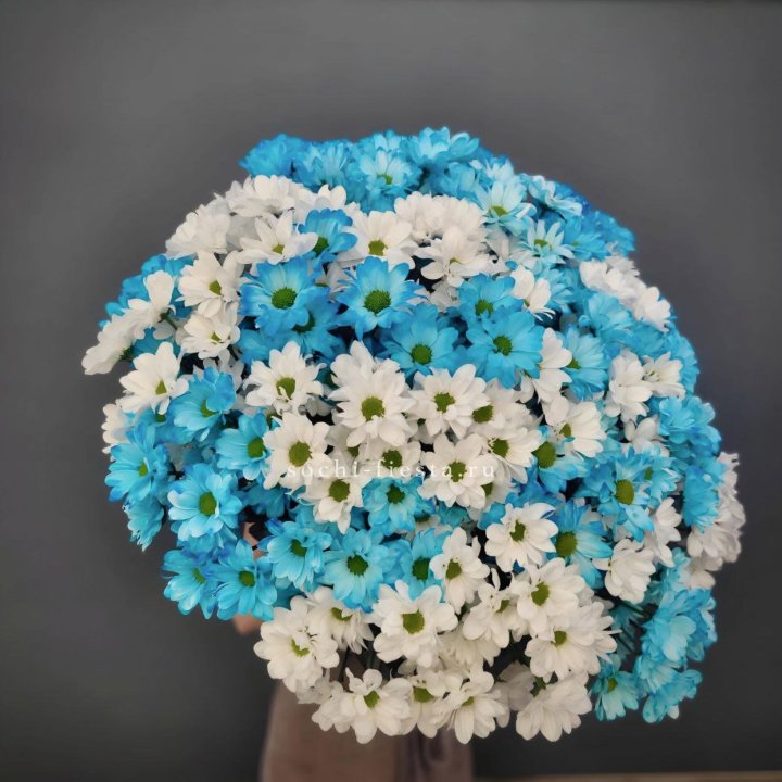  Букет хризантем микс в Самаре