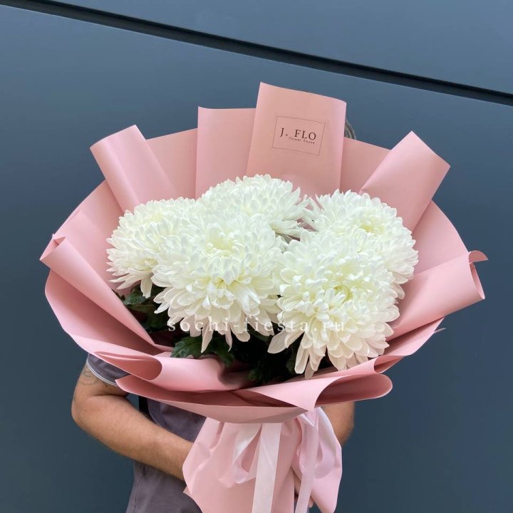 Профитроли №2 в Самаре