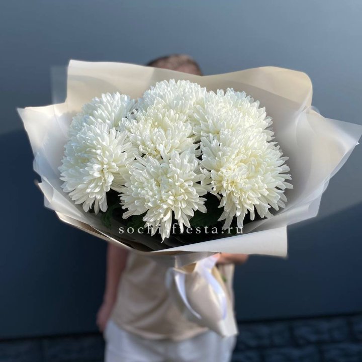 Профитроли в Самаре