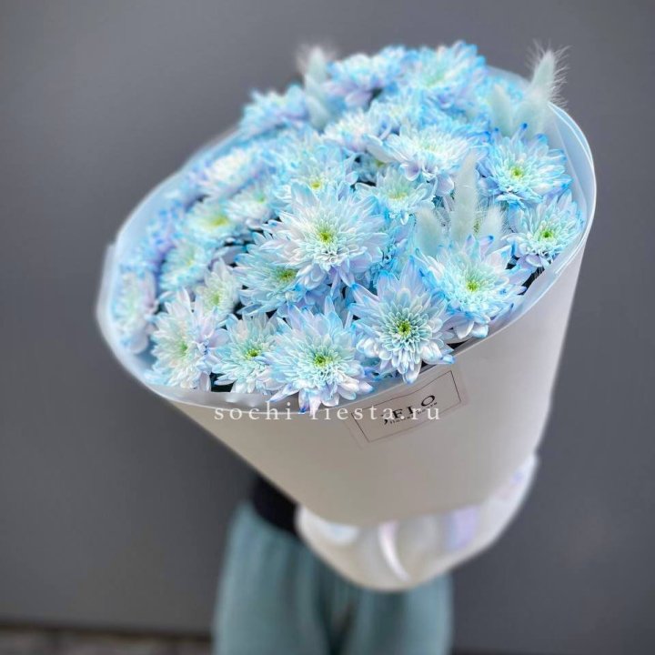  Букет нежно-голубых хризантем  в Самаре