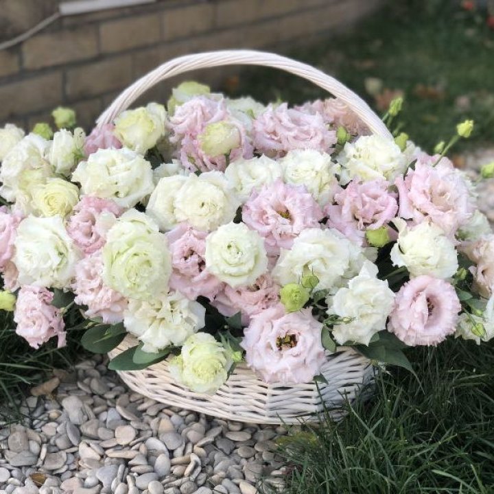 Корзина с эустомой в Самаре