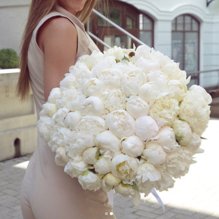 51 белый пион в Самаре