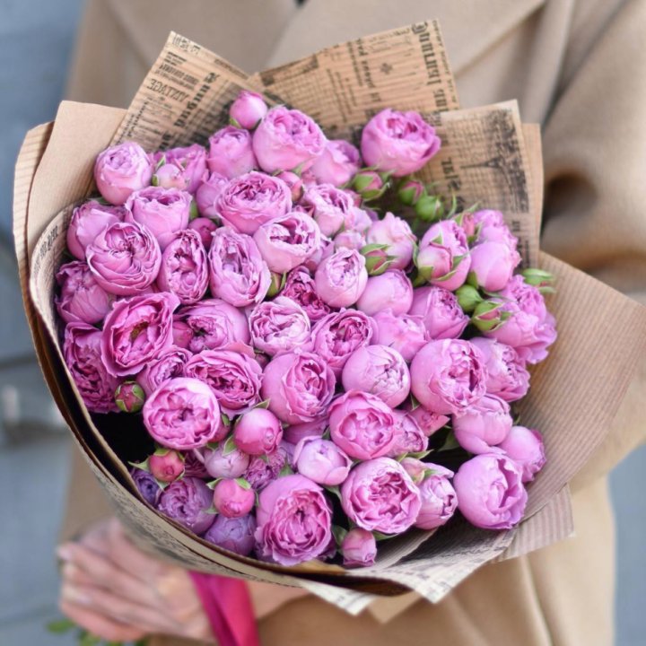 Роза Мисти Баблс в Самаре