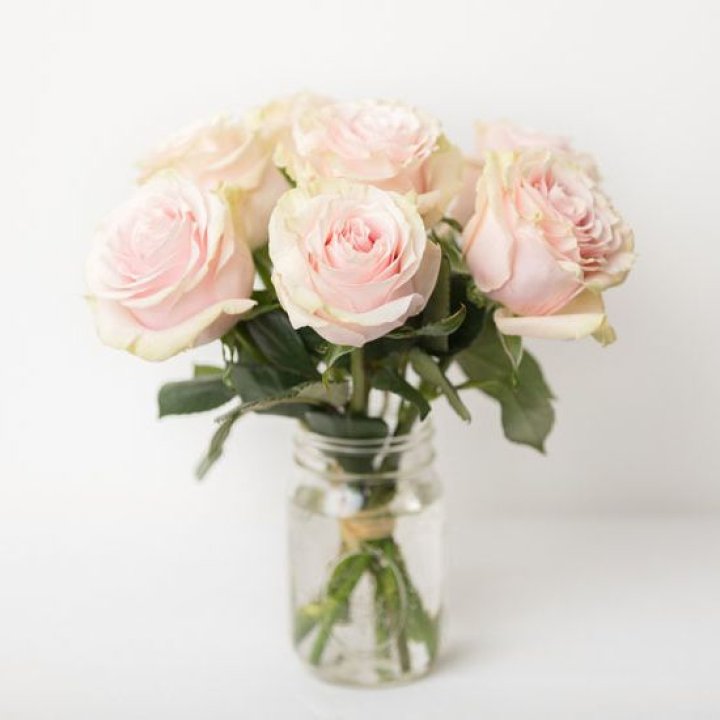 7 кремовых роз в Самаре