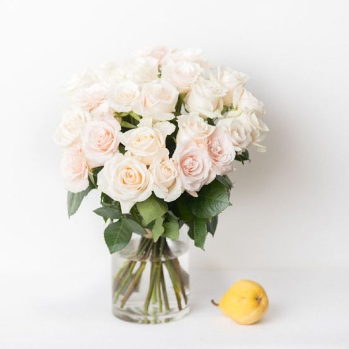 25 кремовых роз в Самаре