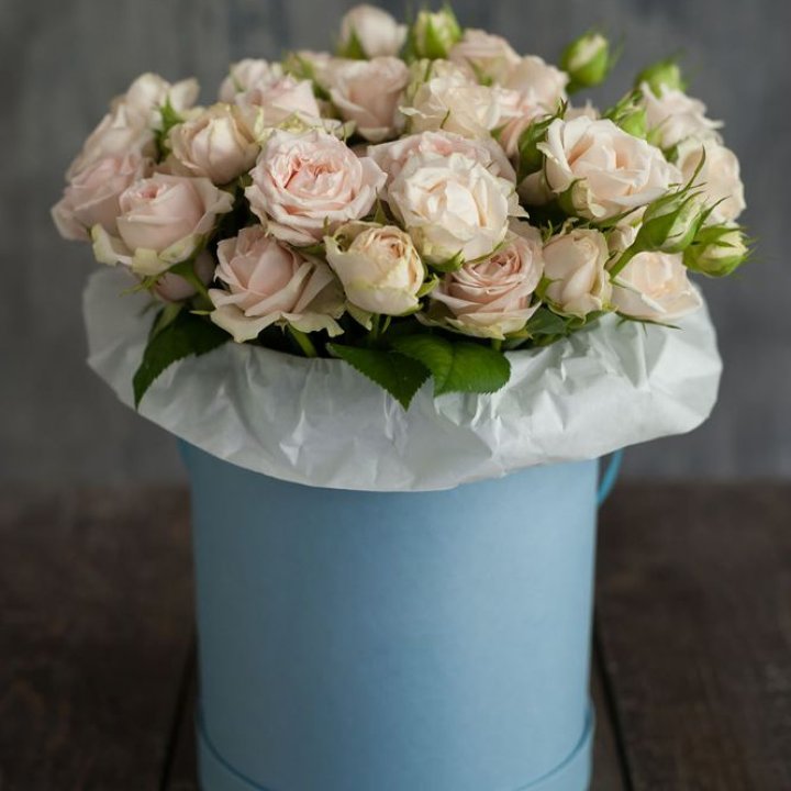 Бокс с бомбастиком в Самаре