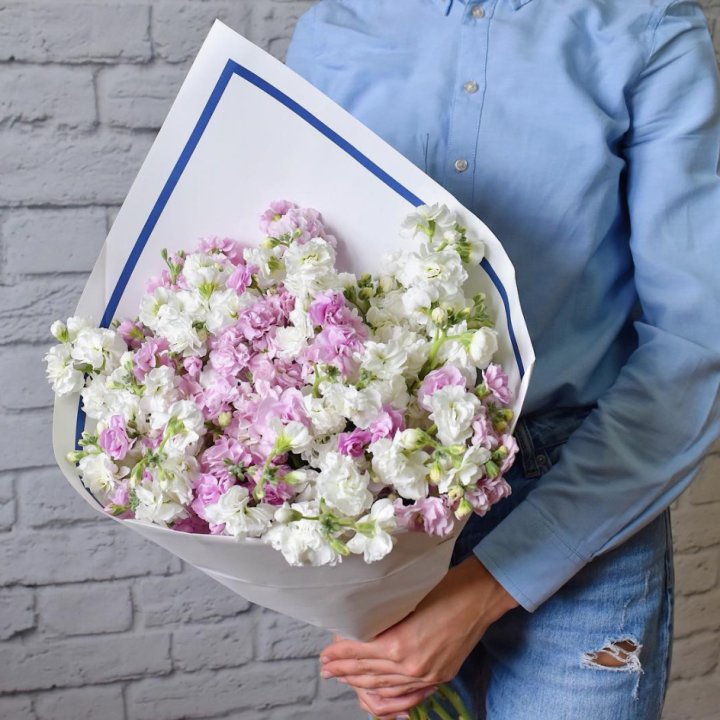 Маттиола в Самаре