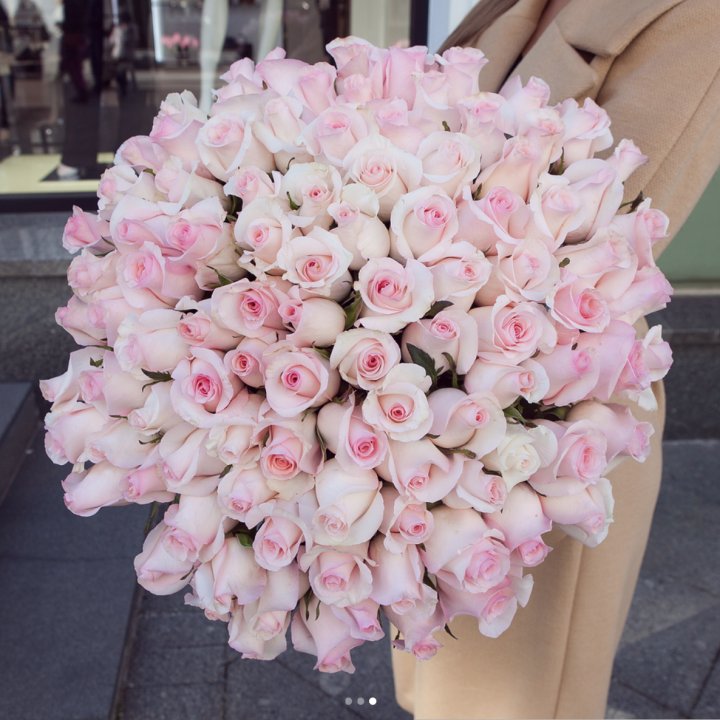 Розы "Пинк бум" в Самаре