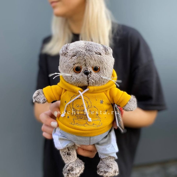 Кот Басик в худи в Самаре