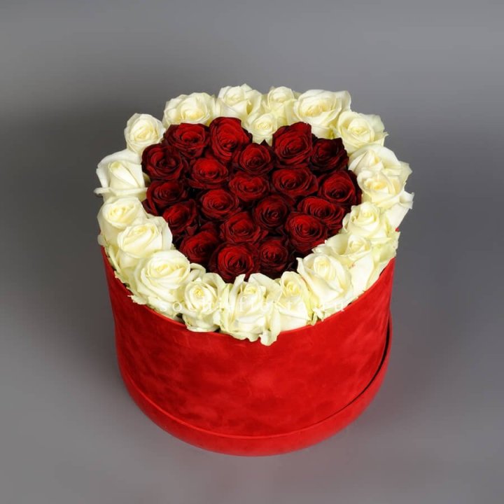39 красных и белых роз в цилиндре в Самаре