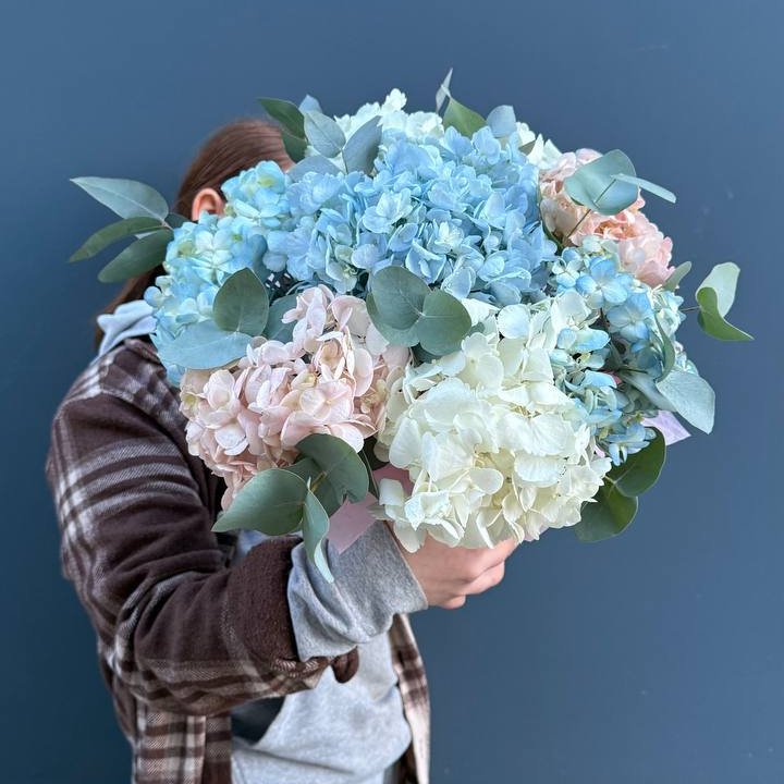 Гортензии в коробочке в Самаре