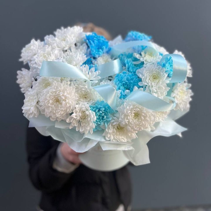 Хризнтемы в боксе в Самаре