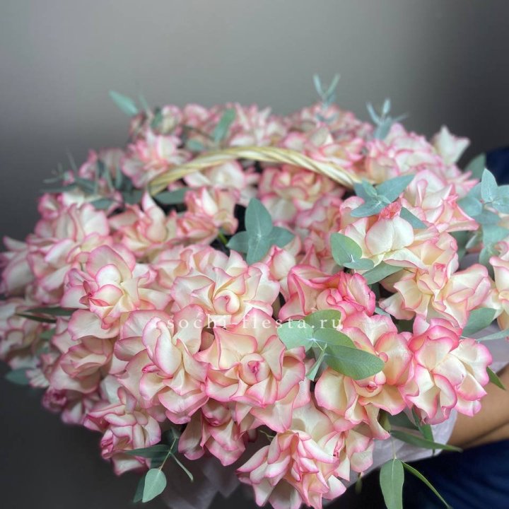 51 джумилия  в корзине   в Самаре